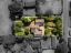 property Thumbnails}