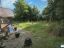 property Thumbnails}