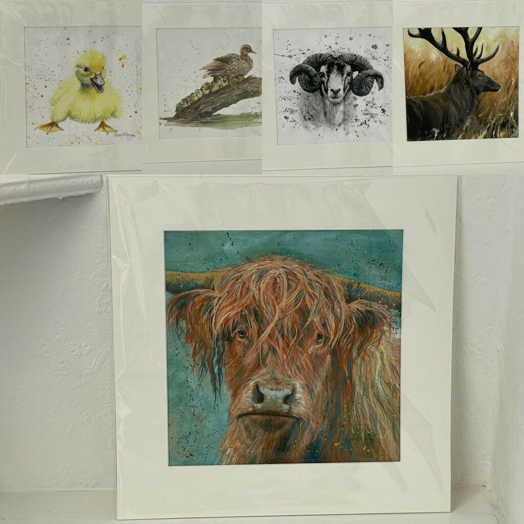 property Raw Images}