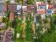 property Thumbnails}