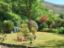 property Thumbnails}