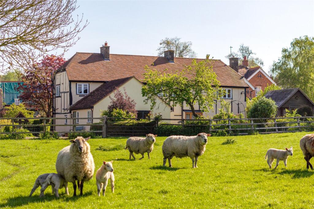 property Raw Images}