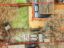 property Thumbnails}