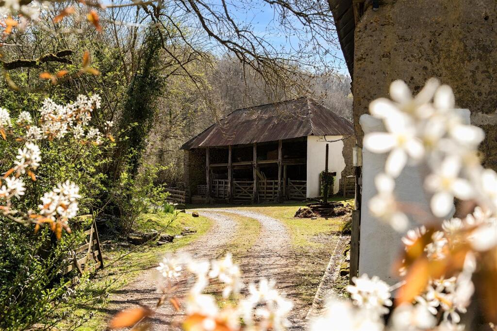 property Raw Images}