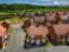 property Thumbnails}