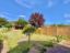 property Thumbnails}