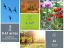 property Thumbnails}