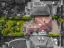 property Thumbnails}