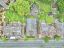 property Thumbnails}
