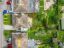 property Thumbnails}