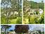 property Thumbnails}