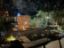 property Thumbnails}