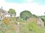 property Thumbnails}