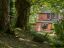 property Thumbnails}
