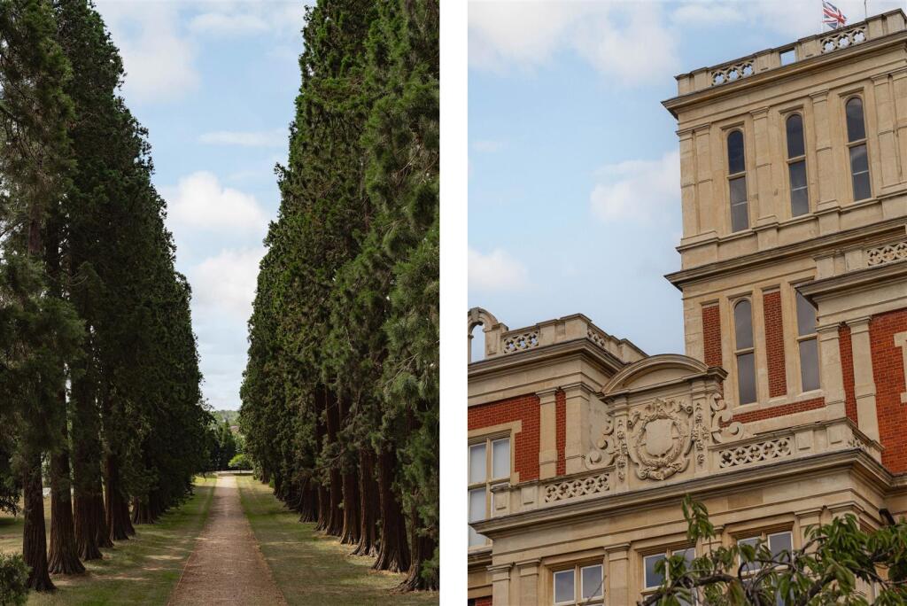 property Raw Images}