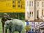 property Thumbnails}
