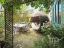 property Thumbnails}