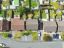property Thumbnails}
