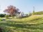 property Thumbnails}