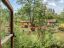 property Thumbnails}