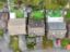 property Thumbnails}