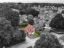 property Thumbnails}