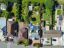 property Thumbnails}