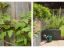 property Thumbnails}