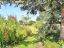 property Thumbnails}