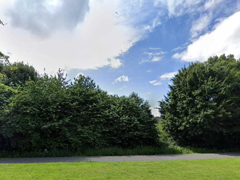 property Raw Images}