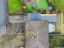 property Thumbnails}