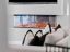 property Thumbnails}