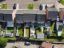 property Thumbnails}