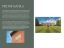 property Thumbnails}