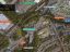 property Thumbnails}