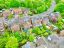 property Thumbnails}