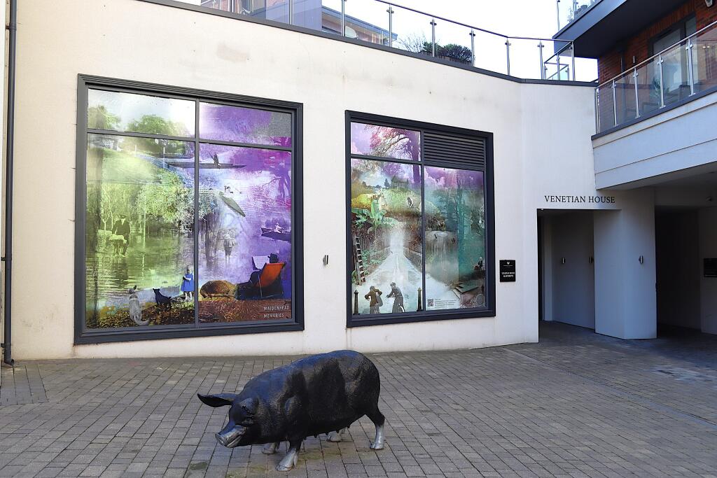 property Raw Images}