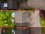 property Thumbnails}