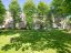 property Thumbnails}