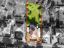 property Thumbnails}