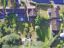 property Thumbnails}