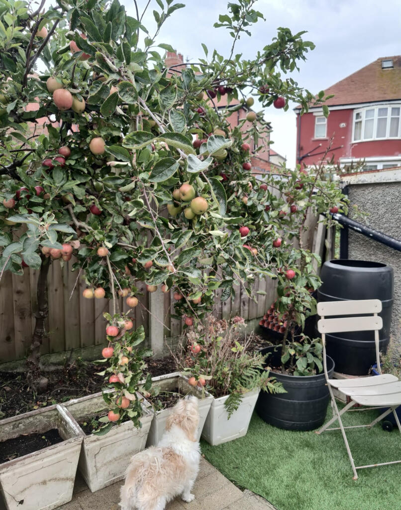 property Raw Images}