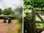 property Thumbnails}