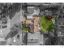 property Thumbnails}