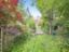 property Thumbnails}