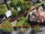 property Thumbnails}