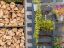 property Thumbnails}
