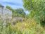 property Thumbnails}