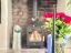 property Thumbnails}