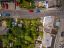property Thumbnails}